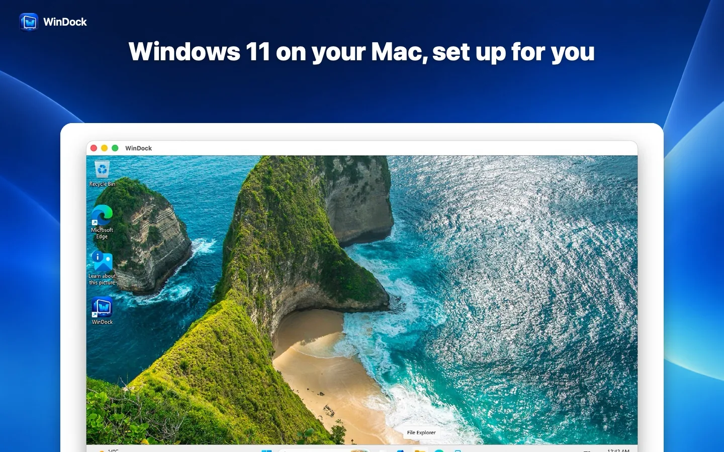 Windows 11 running on a Mac