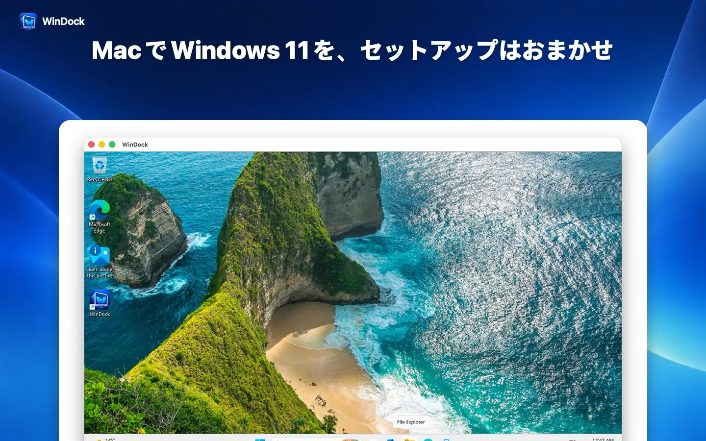 Macで動くWindows 11
