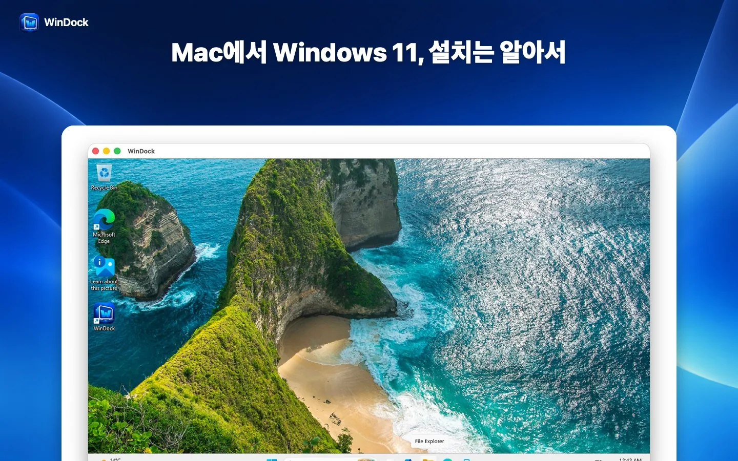 WinDock — Windows 11 가상 머신